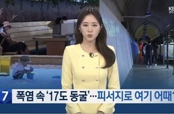 뉴스에 등장한 와인동굴